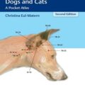 دانلود کتاب طب سوزنی برای سگ ها و گربه ها<br>Acupuncture for Dogs and Cats: A Pocket Atlas, 2ed